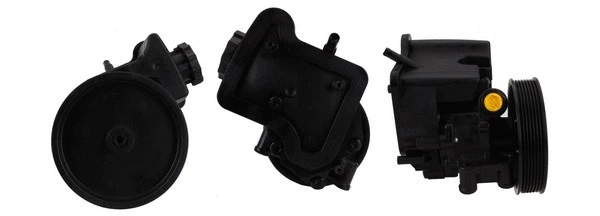 Hydraulic Pump, steering (PU01381)