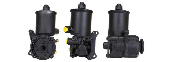 Hydraulic Pump, steering (PU00830)