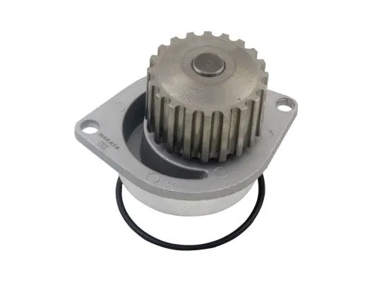 Water Pump, engine cooling (NKBA089013)