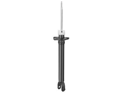Shock Absorber (HG 30974)