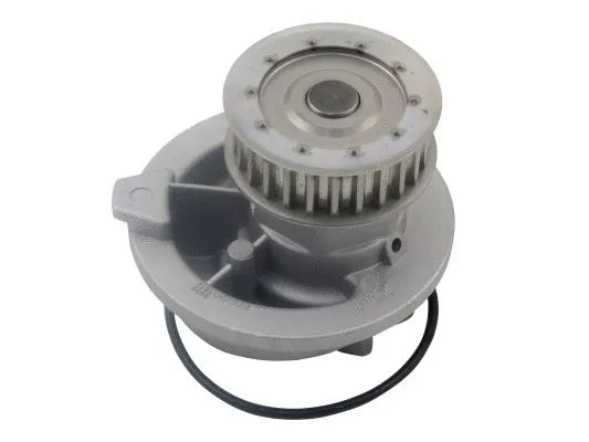 Water Pump, engine cooling (NKBA03152)