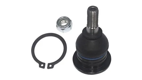 Ball Joint (N 99128)
