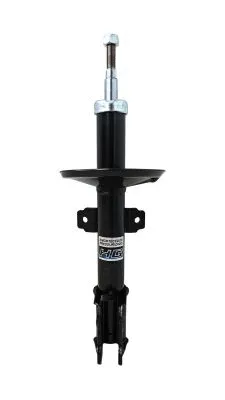 Shock Absorber (HG 41006)