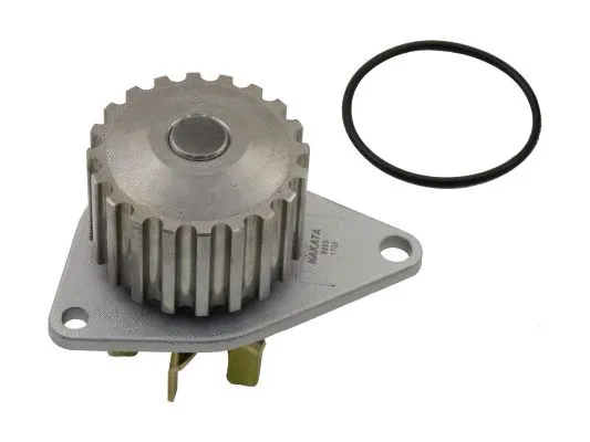 Water Pump, engine cooling (NKBA089018)