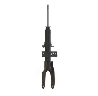 Shock Absorber (HG 36081)