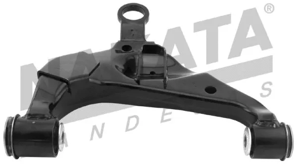 Control/Trailing Arm, wheel suspension (NBJ7004E)