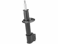 Shock Absorber (HG 31018)