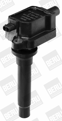 Ignition Coil (WG1487470)