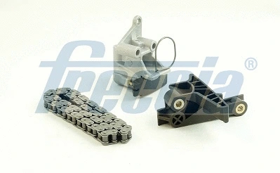 Timing Chain Kit (WG2202968)