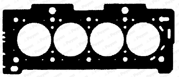 Gasket, cylinder head (WG1090257)