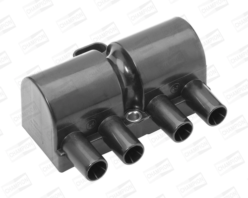 Ignition Coil (WG2009269)