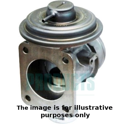 EGR Valve (WG1899161)