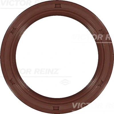 Shaft Seal, crankshaft (WG1250066)
