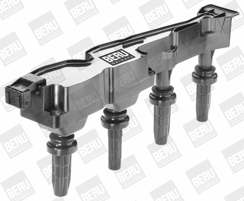 Ignition Coil (WG1487331)