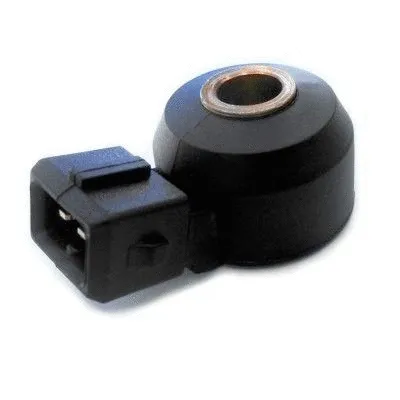 Knock Sensor (WG1408318)