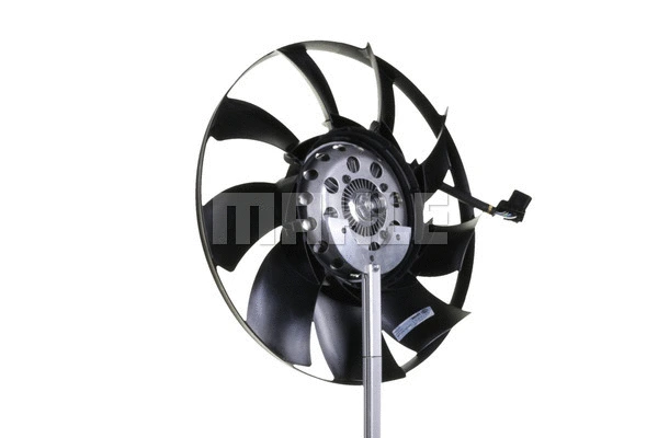 Fan, engine cooling