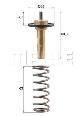 Thermostat, coolant (WG2224811)
