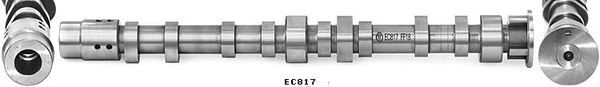 Camshaft (WG1924190)