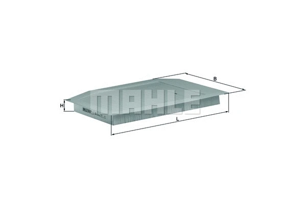 Air Filter (WG1216521)