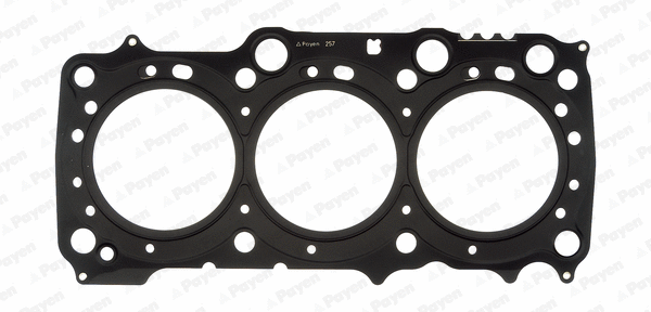 Gasket, cylinder head (WG1177880)