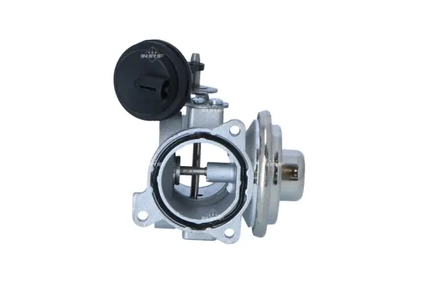 EGR Valve (WG2161812)
