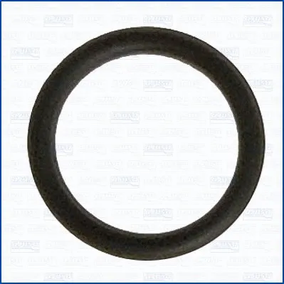 Gasket, coolant pipe (WG2080944)