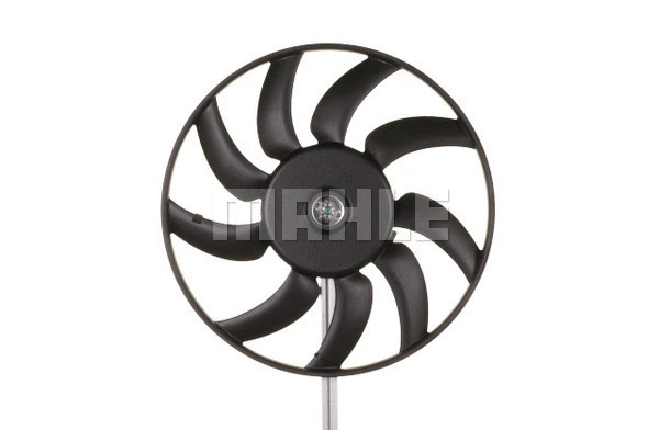 Fan, engine cooling
