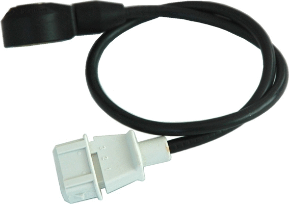 Knock Sensor (WG1408308)