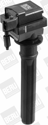 Ignition Coil (WG1487466)