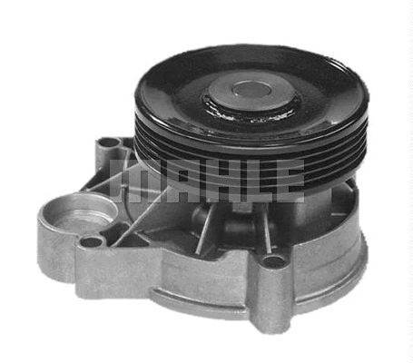 Water Pump, engine cooling (WG2181333)