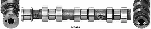 Camshaft (WG1051547)
