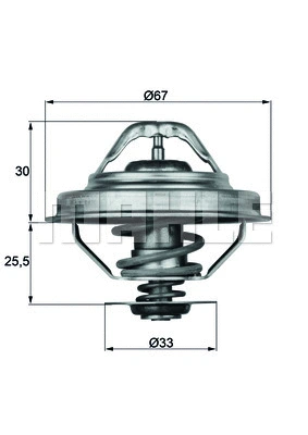 Thermostat, coolant (WG1262729)