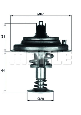 Thermostat, coolant (WG1262725)