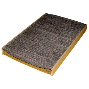 Filter, cabin air (WG1774690)