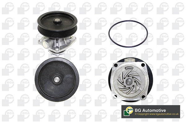 Water Pump, engine cooling (WG1489092)