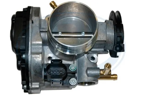 Throttle Body (WG1796583)