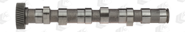 Camshaft (WG1171923)