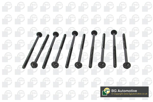 Cylinder Head Bolt Set (WG1489972)