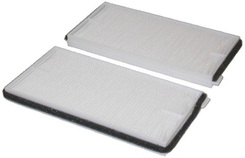 Filter, cabin air (WG1747151)