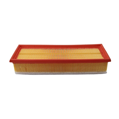 Air Filter (WG2152167)