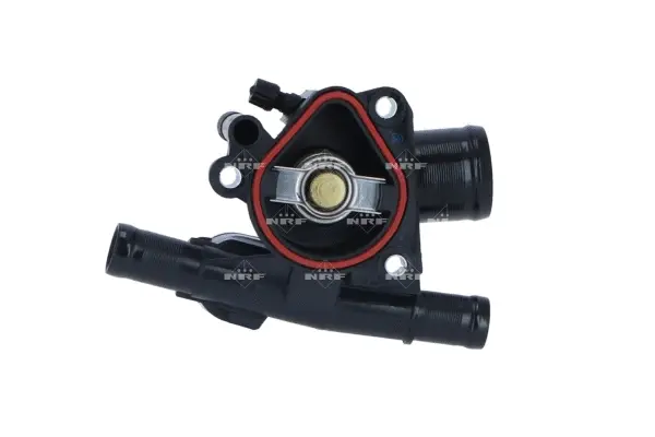 Thermostat, coolant (WG2184668)