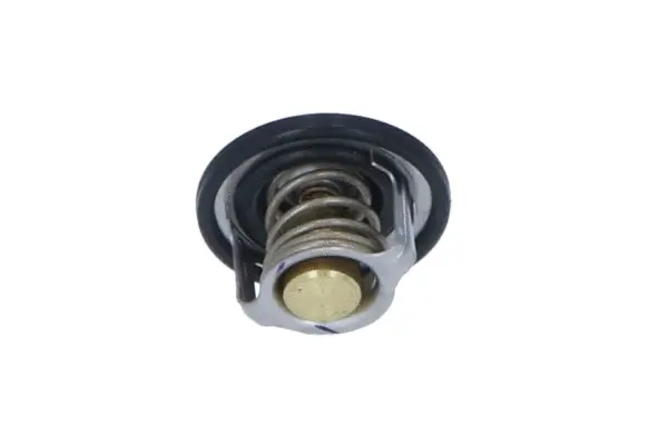 Thermostat, coolant (WG2184746)