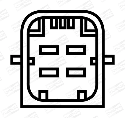 Ignition Coil (WG2009235)