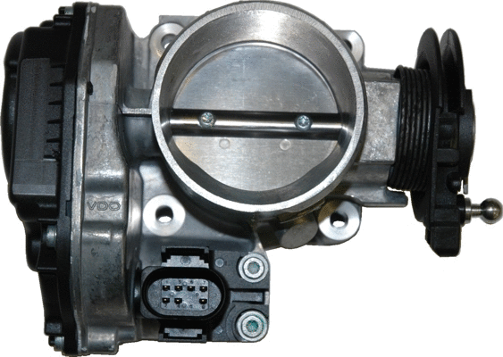 Throttle Body (WG1013495)