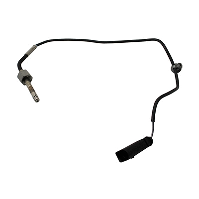 Sensor, exhaust gas temperature (WG2168089)
