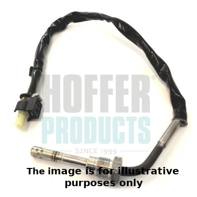 Sensor, exhaust gas temperature (WG1901876)