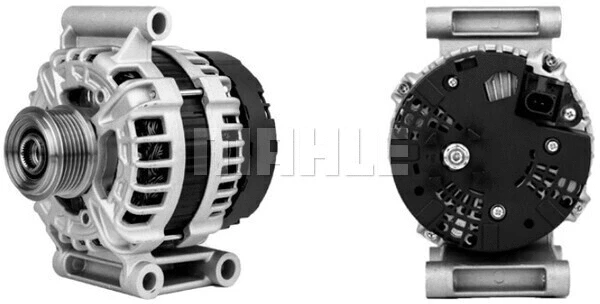 Alternator (WG2203021)