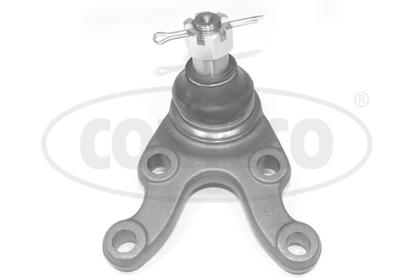 Ball Joint (WG2288349)