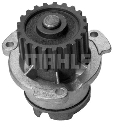 Water Pump, engine cooling (WG2181579)