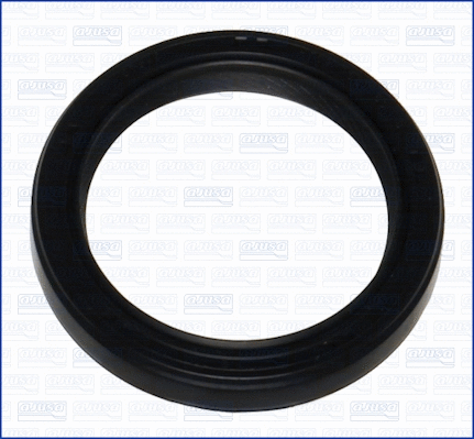 Shaft Seal, crankshaft (WG1163072)